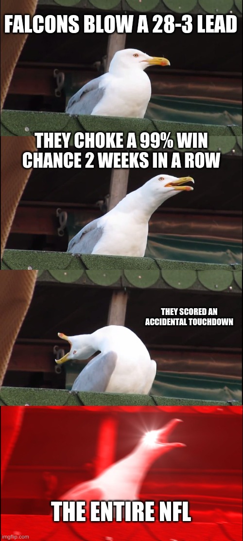 Falcons be like... | FALCONS BLOW A 28-3 LEAD; THEY CHOKE A 99% WIN CHANCE 2 WEEKS IN A ROW; THEY SCORED AN ACCIDENTAL TOUCHDOWN; THE ENTIRE NFL | image tagged in memes,inhaling seagull | made w/ Imgflip meme maker
