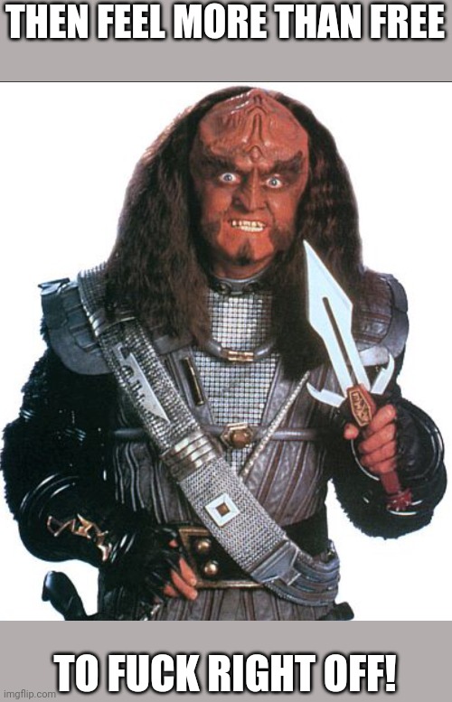 Klingon Warrior | THEN FEEL MORE THAN FREE TO FUCK RIGHT OFF! | image tagged in klingon warrior | made w/ Imgflip meme maker
