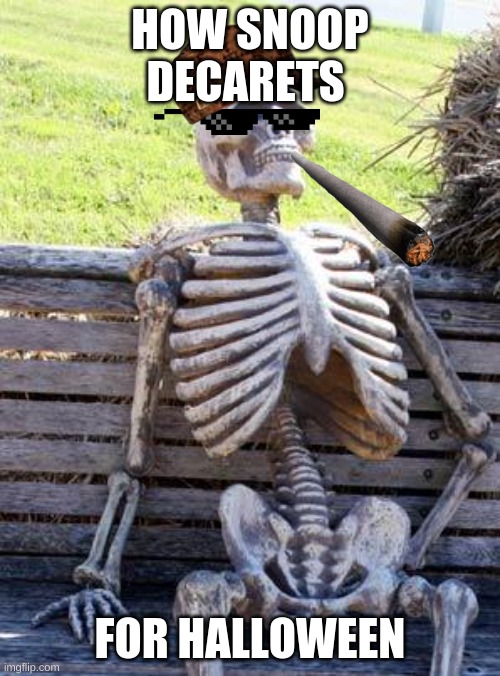 Waiting Skeleton | HOW SNOOP DECARETS; FOR HALLOWEEN | image tagged in memes,waiting skeleton | made w/ Imgflip meme maker