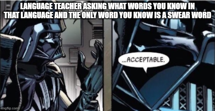 It Is Acceptable | LANGUAGE TEACHER ASKING WHAT WORDS YOU KNOW IN THAT LANGUAGE AND THE ONLY WORD YOU KNOW IS A SWEAR WORD | image tagged in it is acceptable | made w/ Imgflip meme maker