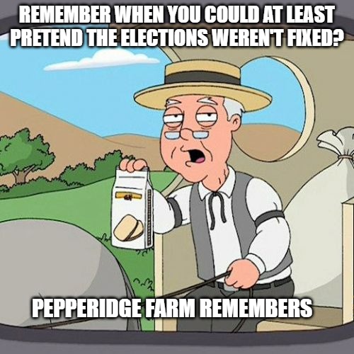 Pepperidge Farm Remembers | REMEMBER WHEN YOU COULD AT LEAST PRETEND THE ELECTIONS WEREN'T FIXED? PEPPERIDGE FARM REMEMBERS | image tagged in memes,pepperidge farm remembers | made w/ Imgflip meme maker