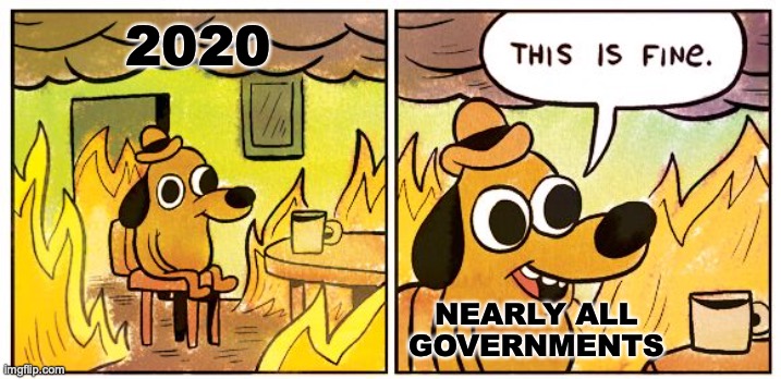 How Our Governments Deal. | 2020; NEARLY ALL GOVERNMENTS | image tagged in memes,this is fine | made w/ Imgflip meme maker