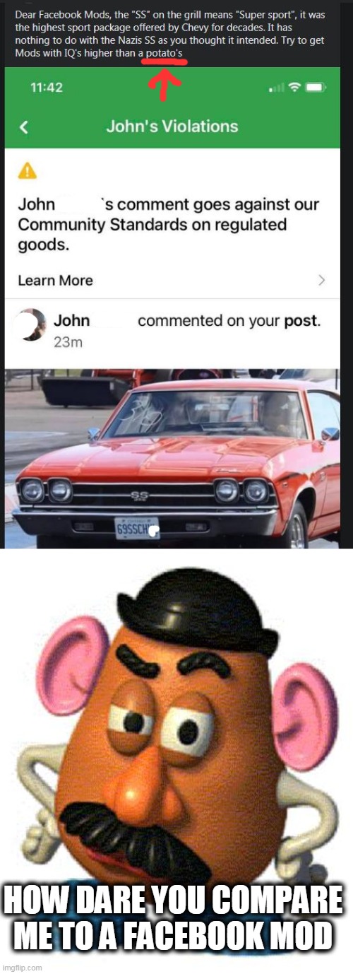 Hitler's car wtf | HOW DARE YOU COMPARE ME TO A FACEBOOK MOD | image tagged in mr potato head | made w/ Imgflip meme maker