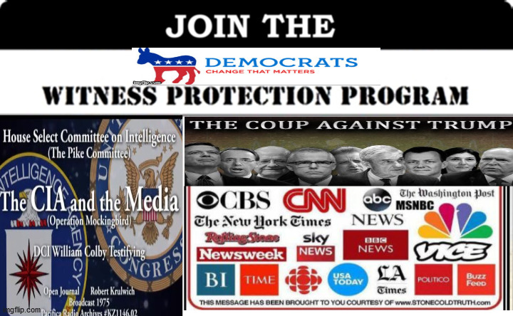 Democrat/Media Witness Protection Program... | image tagged in fake news,corrupt media,nbc,cnn,acosta,treason | made w/ Imgflip meme maker