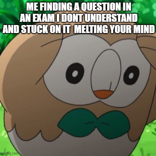 Rowlet Meme Template | ME FINDING A QUESTION IN AN EXAM I DONT UNDERSTAND AND STUCK ON IT  MELTING YOUR MIND | image tagged in rowlet meme template | made w/ Imgflip meme maker