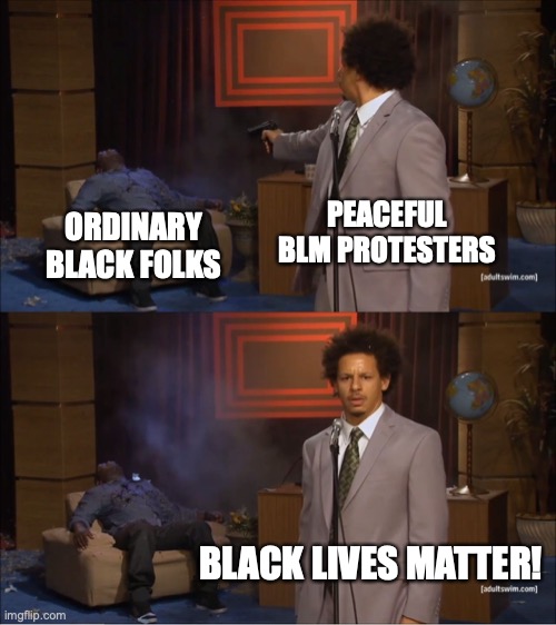 Is BLM really for Black People? | PEACEFUL BLM PROTESTERS; ORDINARY BLACK FOLKS; BLACK LIVES MATTER! | image tagged in memes,who killed hannibal | made w/ Imgflip meme maker