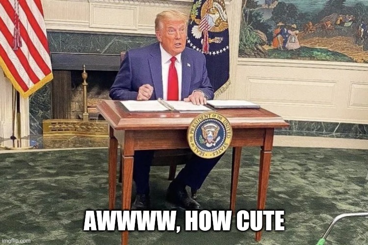 The size of one's desk does not usually necessarily reflect the size of one's character...in this case it does. :-) | AWWWW, HOW CUTE | image tagged in donald trump,tiny desk | made w/ Imgflip meme maker