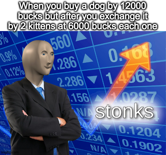 Nice, that are STONKS | When you buy a dog by 12000 bucks but after you exchange it by 2 kittens at 6000 bucks each one | image tagged in stonks | made w/ Imgflip meme maker