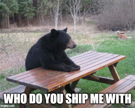Bad Luck Bear | WHO DO YOU SHIP ME WITH | image tagged in memes,bad luck bear | made w/ Imgflip meme maker