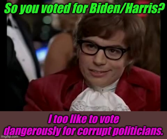 I Too Like To Throw Everything I Own In Toilets. | So you voted for Biden/Harris? I too like to vote dangerously for corrupt politicians. | image tagged in memes,i too like to live dangerously | made w/ Imgflip meme maker