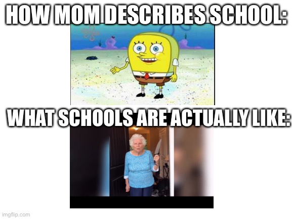 Blank White Template | HOW MOM DESCRIBES SCHOOL:; WHAT SCHOOLS ARE ACTUALLY LIKE: | image tagged in blank white template | made w/ Imgflip meme maker