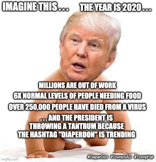 Trump baby diaper | THE YEAR IS 2020 . . . IMAGINE THIS . . . MILLIONS ARE OUT OF WORK; 6X NORMAL LEVELS OF PEOPLE NEEDING FOOD; OVER 250,000 PEOPLE HAVE DIED FROM A VIRUS; . . . AND THE PRESIDENT IS THROWING A TANTRUM BECAUSE THE HASHTAG "DIAPERDON" IS TRENDING; #DiaperDon   #TrumpSAD   #TrumpFail | image tagged in trump baby diaper,failure,baby,election,trump,covid | made w/ Imgflip meme maker