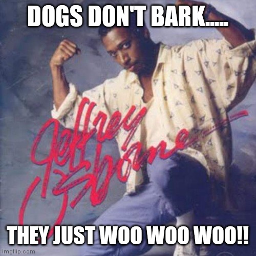 DOGS DON'T BARK..... THEY JUST WOO WOO WOO!! | image tagged in funny memes | made w/ Imgflip meme maker