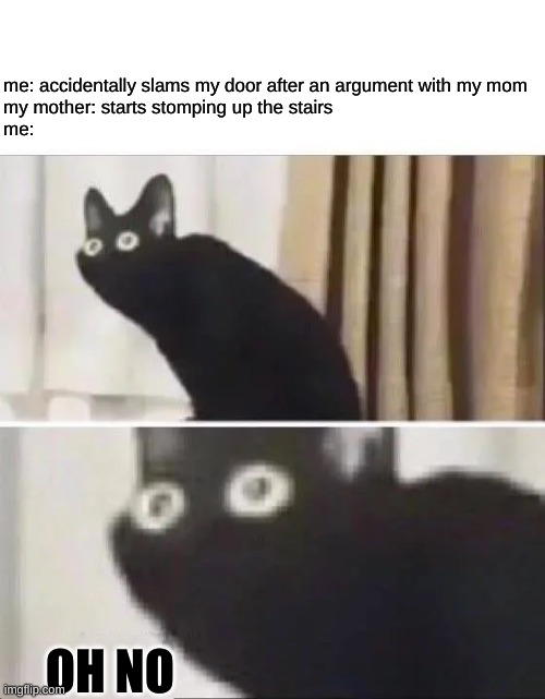 Oh No Black Cat | me: accidentally slams my door after an argument with my mom
my mother: starts stomping up the stairs
me:; OH NO | image tagged in oh no black cat | made w/ Imgflip meme maker