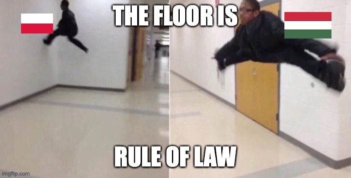 EU Law | THE FLOOR IS; RULE OF LAW | image tagged in the floor is | made w/ Imgflip meme maker