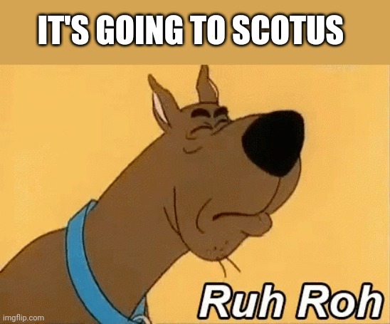 Politics and stuff | IT'S GOING TO SCOTUS | image tagged in funny memes | made w/ Imgflip meme maker