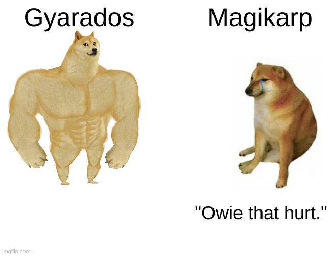 Buff Doge vs. Cheems | Gyarados; Magikarp; "Owie that hurt." | image tagged in memes,buff doge vs cheems | made w/ Imgflip meme maker