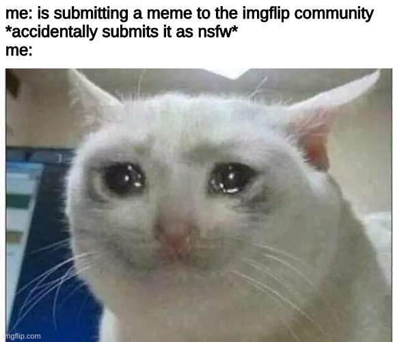 crying cat | me: is submitting a meme to the imgflip community
*accidentally submits it as nsfw*
me: | image tagged in crying cat | made w/ Imgflip meme maker