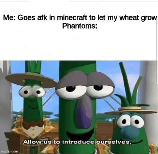 WHy did i think the phantom would be a cool idea? OH A MONSTER THAT KILLS YOUR FOR NOT SLEEPING SOUNDS NICE!!! I hate my past se | Me: Goes afk in minecraft to let my wheat grow
Phantoms: | image tagged in allow us to introduce ourselves | made w/ Imgflip meme maker