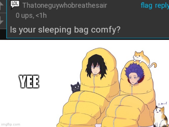 T-POSE, Memes that keep Aizawa awake