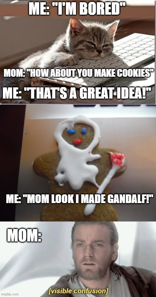 IT'S GANDALF BEWARE! | ME: "I'M BORED"; MOM: "HOW ABOUT YOU MAKE COOKIES"; ME: "THAT'S A GREAT IDEA!"; ME: "MOM LOOK I MADE GANDALF!"; MOM: | image tagged in visible confusion | made w/ Imgflip meme maker