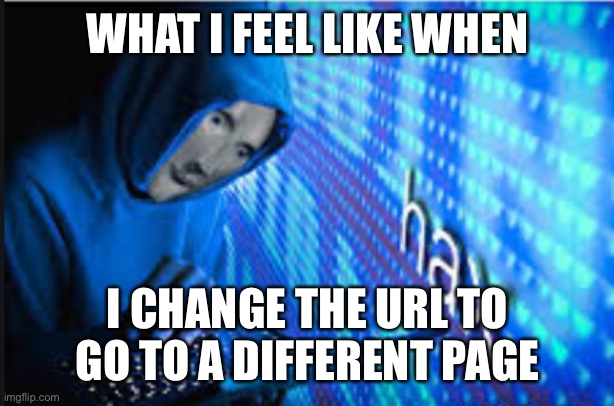 Isn’t a repost | WHAT I FEEL LIKE WHEN; I CHANGE THE URL TO GO TO A DIFFERENT PAGE | image tagged in hax | made w/ Imgflip meme maker
