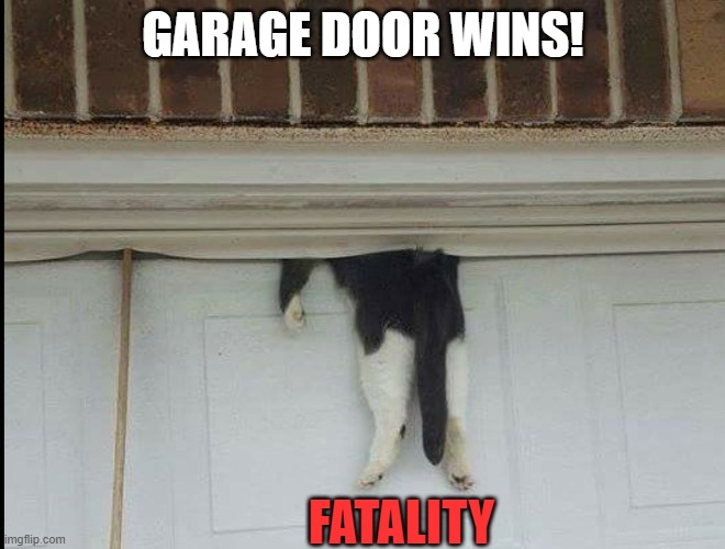 He's dead Jim. | GARAGE DOOR WINS! FATALITY | image tagged in bella the cat stuck in a garage door | made w/ Imgflip meme maker