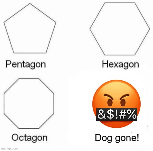 Dagnabbit! | Dog gone! | image tagged in memes,pentagon hexagon octagon | made w/ Imgflip meme maker