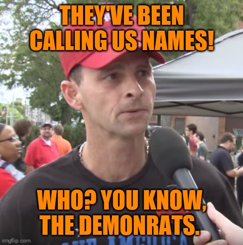 Trump supporter | THEY'VE BEEN CALLING US NAMES! WHO? YOU KNOW, THE DEMONRATS. | image tagged in trump supporter | made w/ Imgflip meme maker