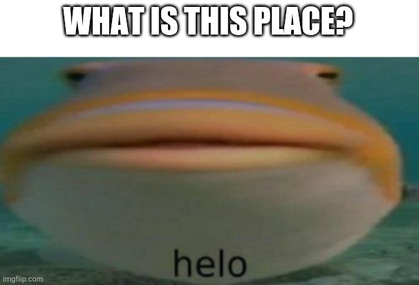 ¤₩¤ | WHAT IS THIS PLACE? | image tagged in helo | made w/ Imgflip meme maker