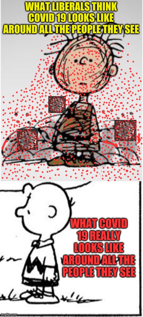 Cascading off everyone!!! Oozing out of the floor!!!! All the way to the ozone hole!!! To the MOOON!!! | WHAT LIBERALS THINK COVID 19 LOOKS LIKE AROUND ALL THE PEOPLE THEY SEE; WHAT COVID 19 REALLY LOOKS LIKE AROUND ALL THE PEOPLE THEY SEE | image tagged in pig pen,charlie brown football | made w/ Imgflip meme maker
