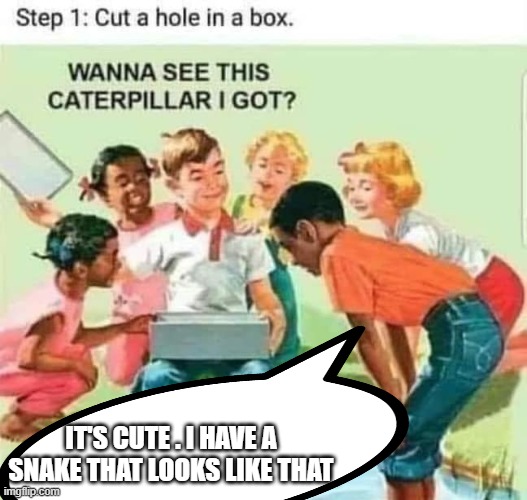 Caterpillar | IT'S CUTE . I HAVE A SNAKE THAT LOOKS LIKE THAT | image tagged in snake puns | made w/ Imgflip meme maker