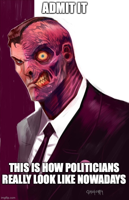 Two-Face and Politicians Are Now Very Similar | ADMIT IT; THIS IS HOW POLITICIANS REALLY LOOK LIKE NOWADAYS | image tagged in memes | made w/ Imgflip meme maker