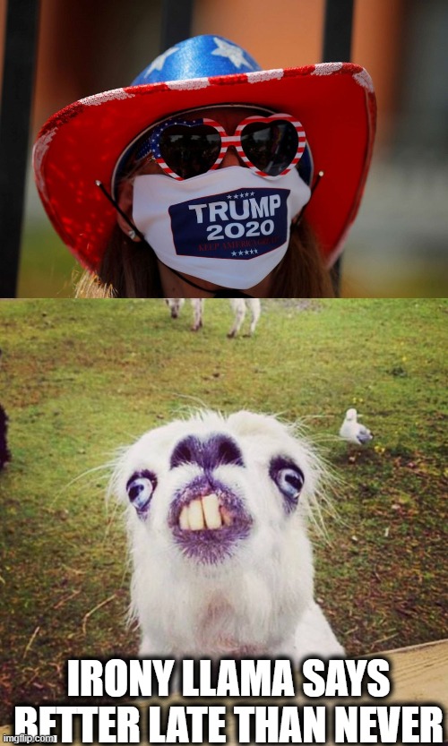 We have 15 cases, its a hoax. | IRONY LLAMA SAYS BETTER LATE THAN NEVER | image tagged in irony llama,covid19,coronavirus,pandemic,memes,should not be politics | made w/ Imgflip meme maker