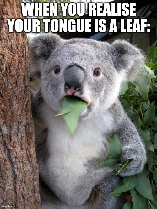 Surprised Koala | WHEN YOU REALISE YOUR TONGUE IS A LEAF: | image tagged in memes,surprised koala | made w/ Imgflip meme maker