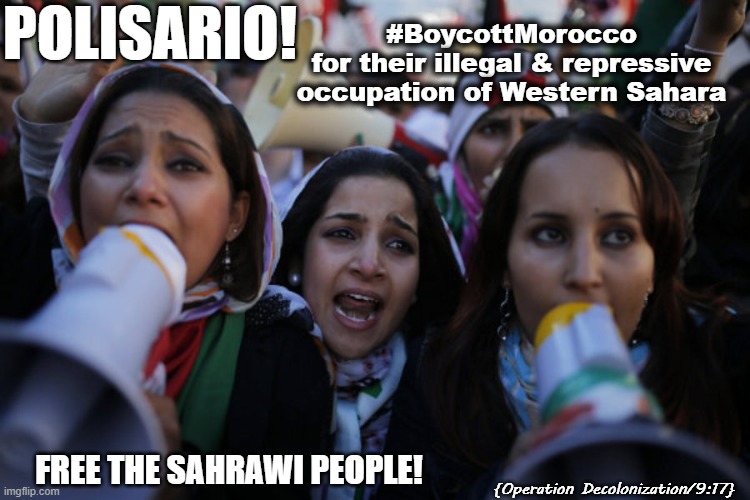Boycott Morocco | POLISARIO! #BoycottMorocco
for their illegal & repressive occupation of Western Sahara; FREE THE SAHRAWI PEOPLE! {Operation Decolonization/9:17} | image tagged in morocco | made w/ Imgflip meme maker