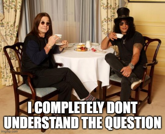 slashozzy | I COMPLETELY DONT UNDERSTAND THE QUESTION | image tagged in slashozzy | made w/ Imgflip meme maker