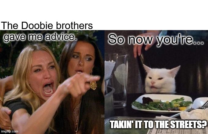 Woman Yelling At Cat | The Doobie brothers
 gave me advice. So now you're... TAKIN' IT TO THE STREETS? | image tagged in memes,woman yelling at cat | made w/ Imgflip meme maker