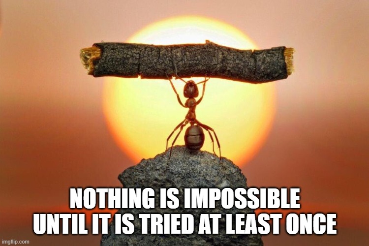 Might Be Photoshopped IDK | NOTHING IS IMPOSSIBLE UNTIL IT IS TRIED AT LEAST ONCE | image tagged in ant,sunrise,sunset,life goals,impossible | made w/ Imgflip meme maker
