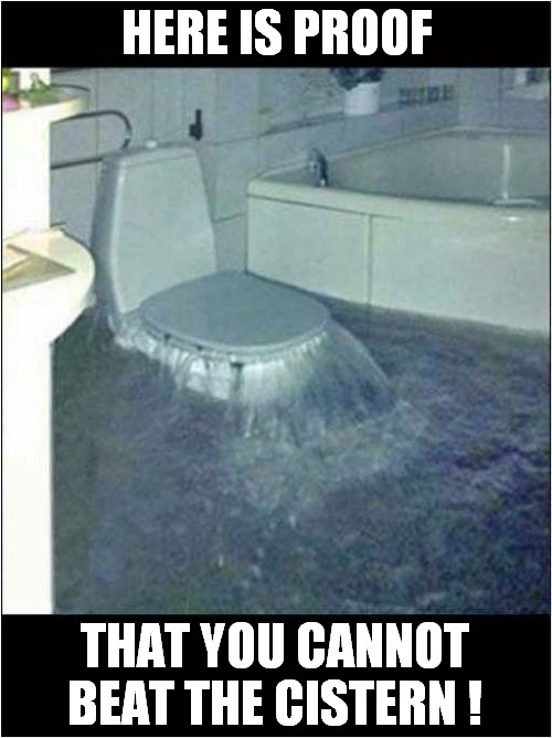 Resistance Is Futile ? | HERE IS PROOF; THAT YOU CANNOT BEAT THE CISTERN ! | image tagged in bathroom,flooding,bad pun,frontpage | made w/ Imgflip meme maker