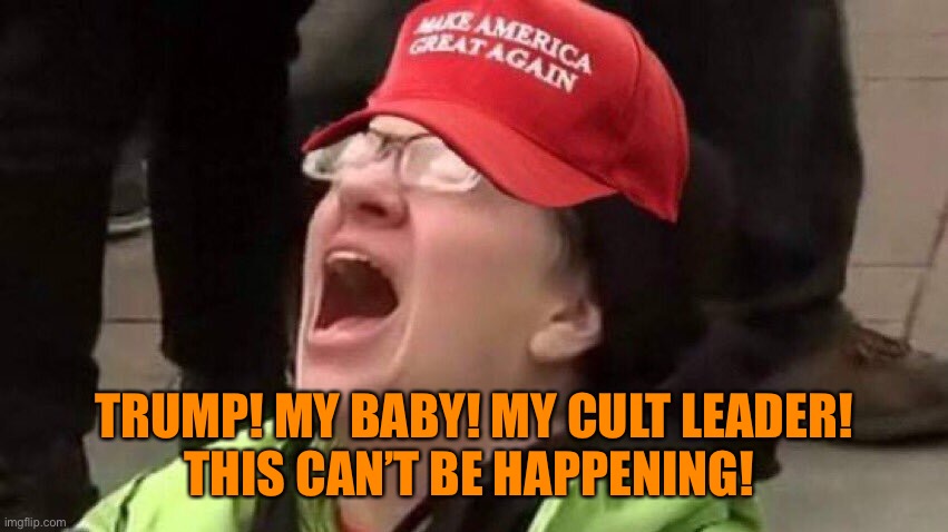 TRUMP! MY BABY! MY CULT LEADER!
THIS CAN’T BE HAPPENING! | made w/ Imgflip meme maker