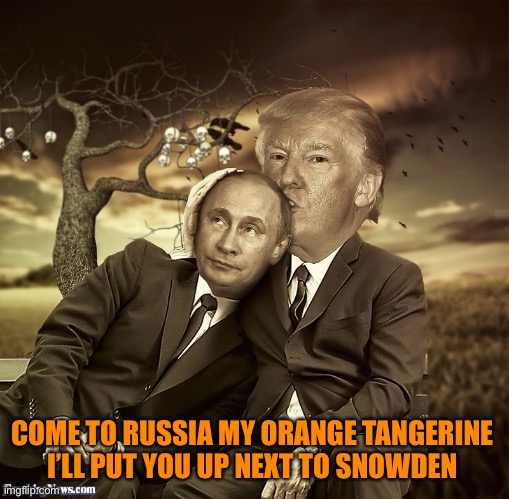 trump putin spooning | COME TO RUSSIA MY ORANGE TANGERINE 
I’LL PUT YOU UP NEXT TO SNOWDEN | image tagged in trump putin spooning | made w/ Imgflip meme maker
