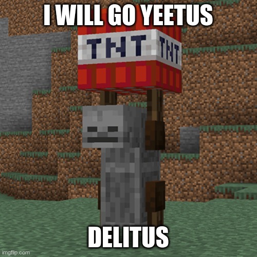 Tnt yeeter | I WILL GO YEETUS DELITUS | image tagged in tnt yeeter | made w/ Imgflip meme maker