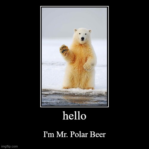 image tagged in funny,demotivationals,hello,mr,polar beer | made w/ Imgflip demotivational maker