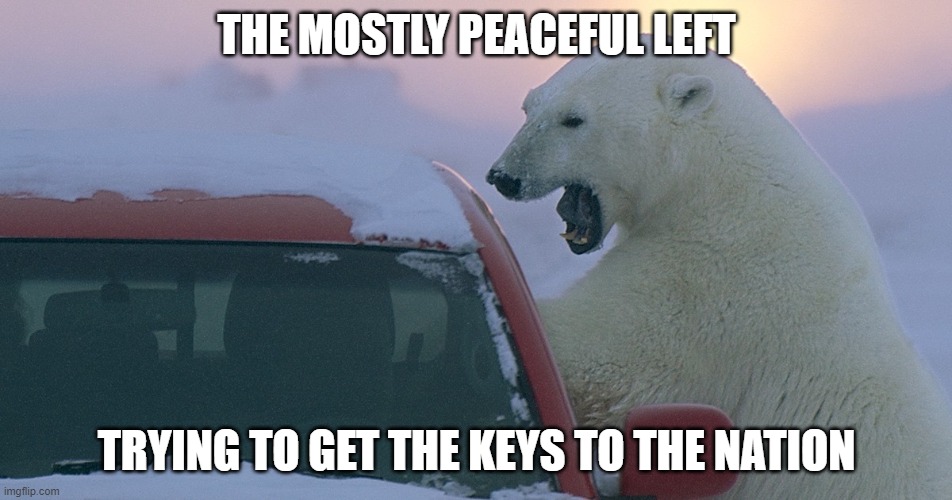 polar bear attack  | THE MOSTLY PEACEFUL LEFT; TRYING TO GET THE KEYS TO THE NATION | image tagged in polar bear attack | made w/ Imgflip meme maker