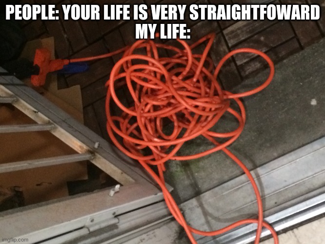 straightfoward life | PEOPLE: YOUR LIFE IS VERY STRAIGHTFOWARD
MY LIFE: | image tagged in tangled | made w/ Imgflip meme maker