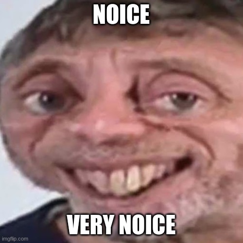 Noice | NOICE VERY NOICE | image tagged in noice | made w/ Imgflip meme maker