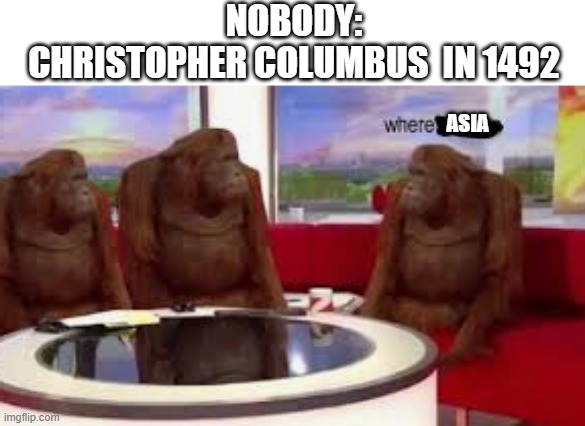 i came searching for gold and found copper... | NOBODY:
CHRISTOPHER COLUMBUS  IN 1492; ASIA | image tagged in historical meme,monkey | made w/ Imgflip meme maker