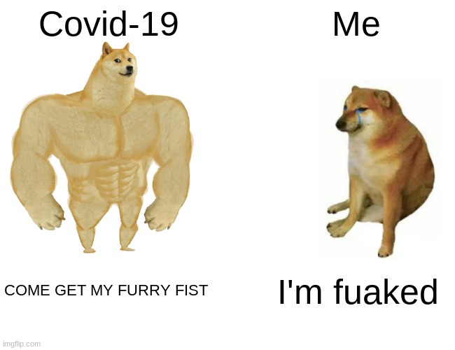 Buff Doge vs. Cheems | Covid-19; Me; COME GET MY FURRY FIST; I'm fuaked | image tagged in memes,buff doge vs cheems | made w/ Imgflip meme maker