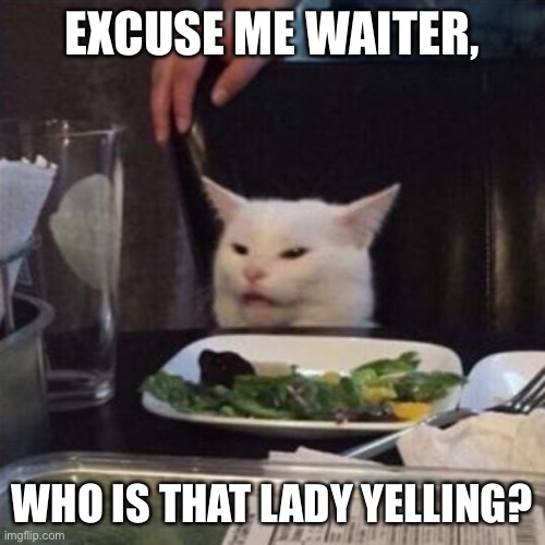 Woman Yelling at Cat Cat | EXCUSE ME WAITER, WHO IS THAT LADY YELLING? | image tagged in woman yelling at cat cat | made w/ Imgflip meme maker